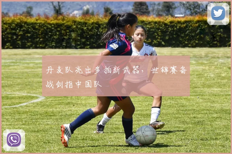 丹麦队亮出多拍新武器，世锦赛备战剑指中国队