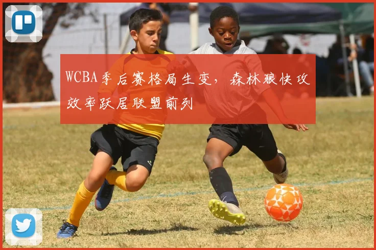 WCBA季后赛格局生变，森林狼快攻效率跃居联盟前列